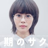 同期のサクラ